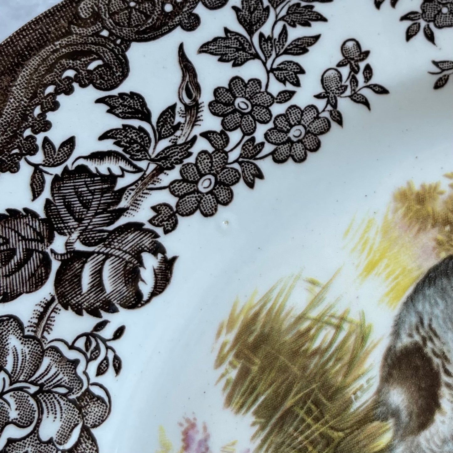 🏴ロイヤルウースター パリッシー ゲームシリーズ ウズラ 22.5cmランチョンプレート