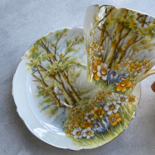 🏴シェリー ダッフォディルタイム デミタスカップ、ソーサー、サイドプレートのトリオ