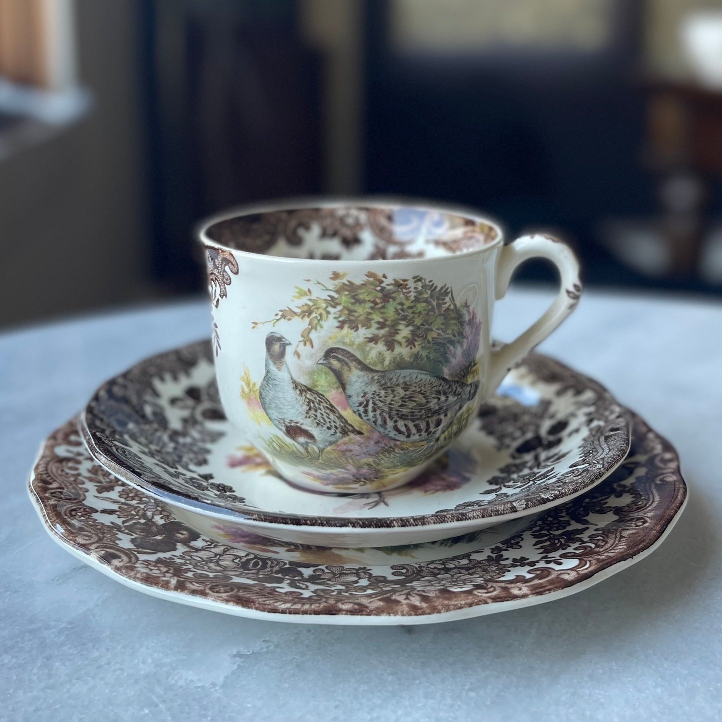 🇬🇧ロイヤルウースター パリッシー ゲームシリーズ ウズラ カップ、ソーサー、サイドプレートのトリオ