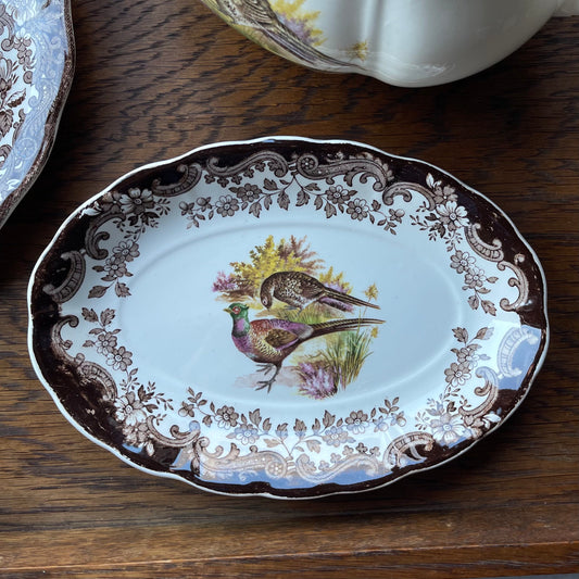 🏴ロイヤルウースター パリッシー ゲームシリーズ はぐれてしまったアイテム