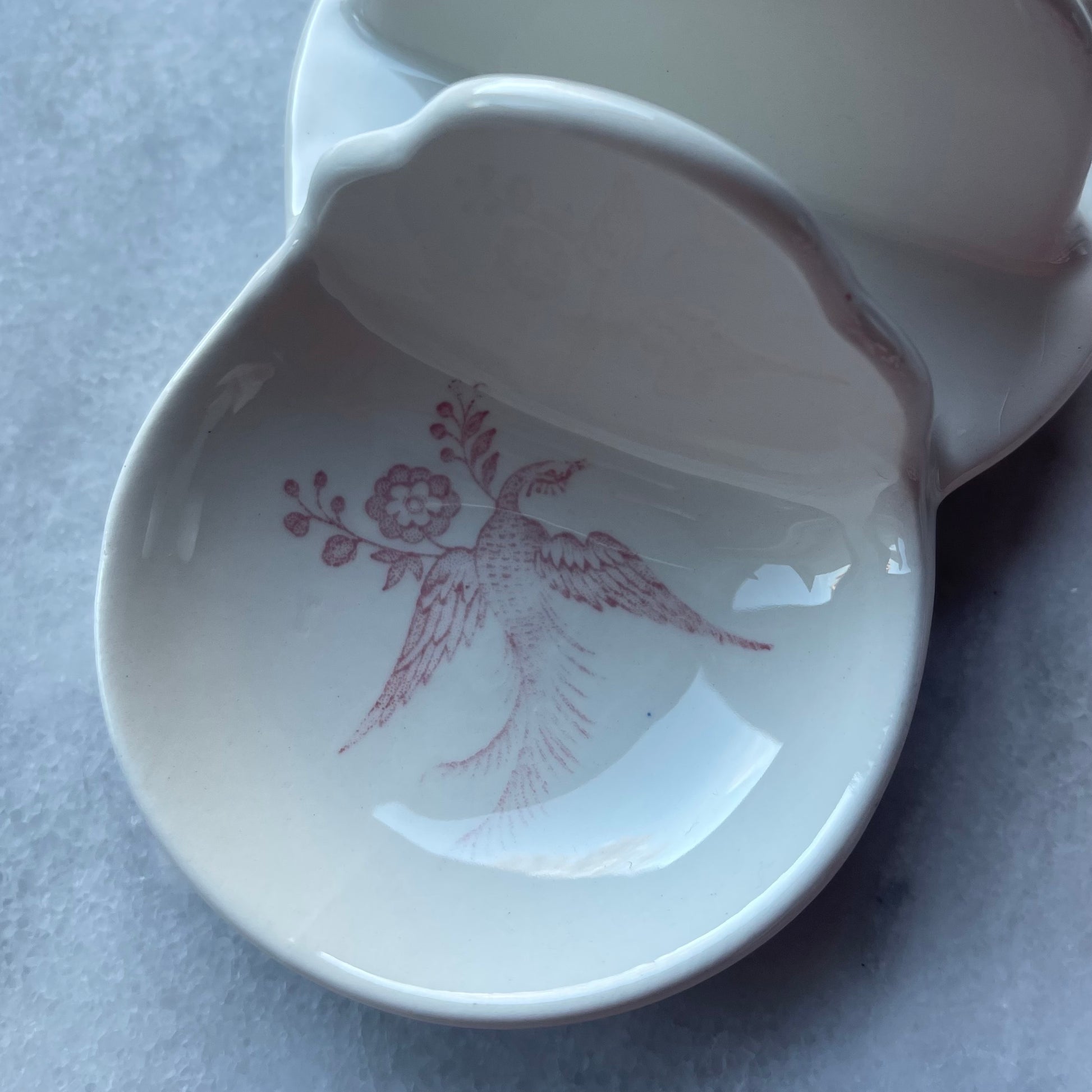 ピンクアジアティックフェザンツ